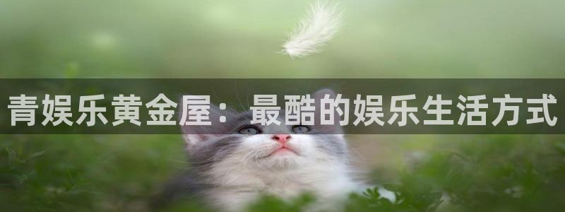 恒盛娱乐下载：青娱乐黄金屋：最酷的娱乐生活方式