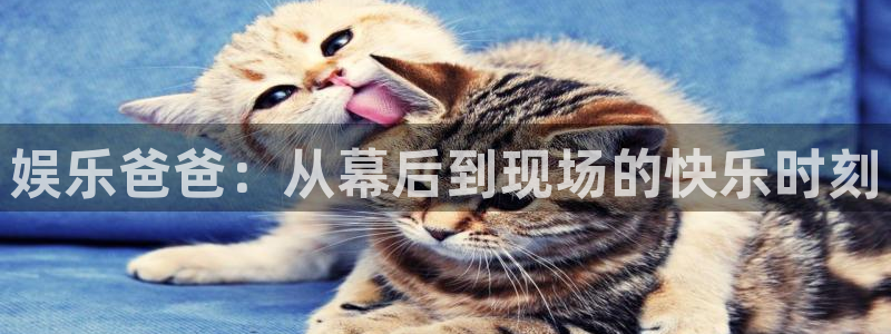 恒盛娱乐：娱乐爸爸：从幕后到现场的快乐时刻
