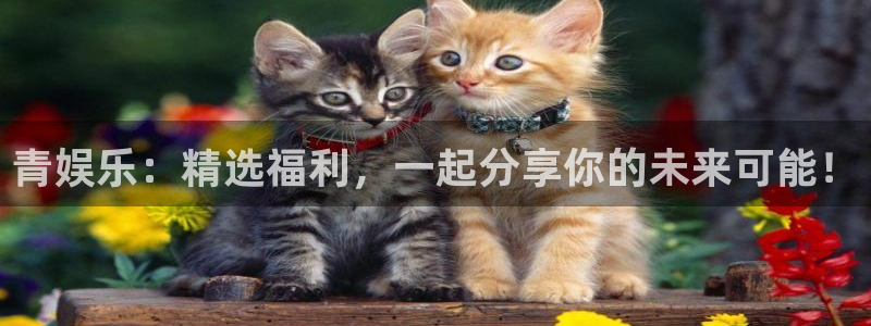 恒盛娱乐官网：青娱乐：精选福利，一起分享你的未来可能！