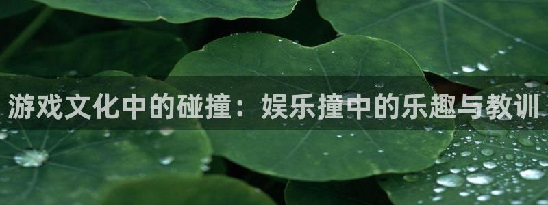 恒盛娱乐登陆：游戏文化中的碰撞：娱乐撞中的乐趣与教训