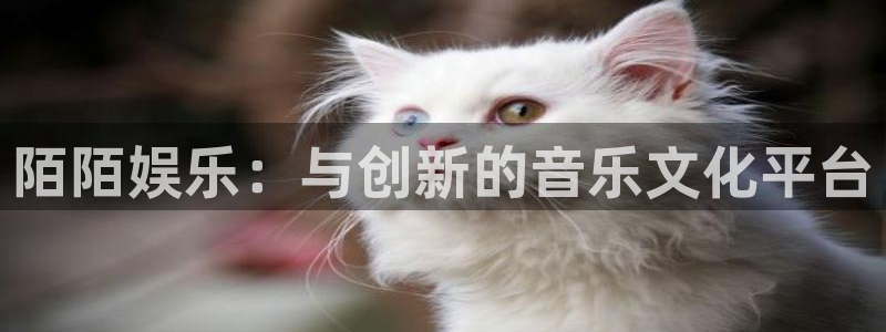 恒盛娱乐登陆：陌陌娱乐：与创新的音乐文化平台