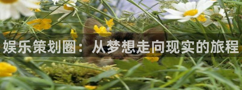 恒盛娱乐：娱乐策划圈：从梦想走向现实的旅程