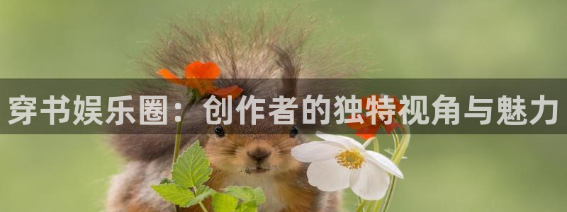 恒盛娱乐下载：穿书娱乐圈：创作者的独特视角与魅力