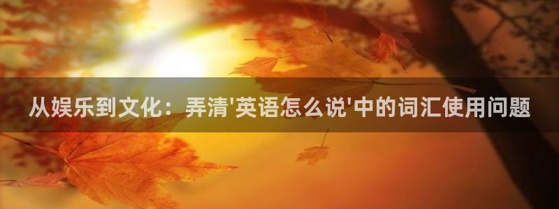 恒盛娱乐登录：从娱乐到文化：弄清\'英语怎么说\'中的词汇使用问题